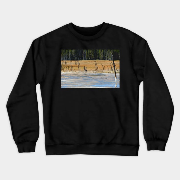 Lodgepole Pines Yellowstone Wyoming Crewneck Sweatshirt by Debra Martz